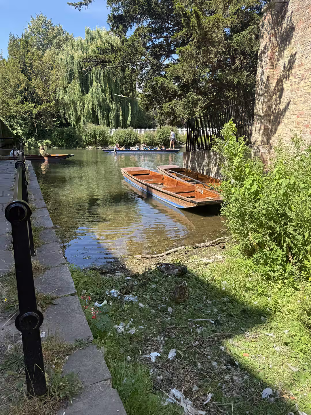 A wooden punt on the quiet upper River Cam, Cambridge